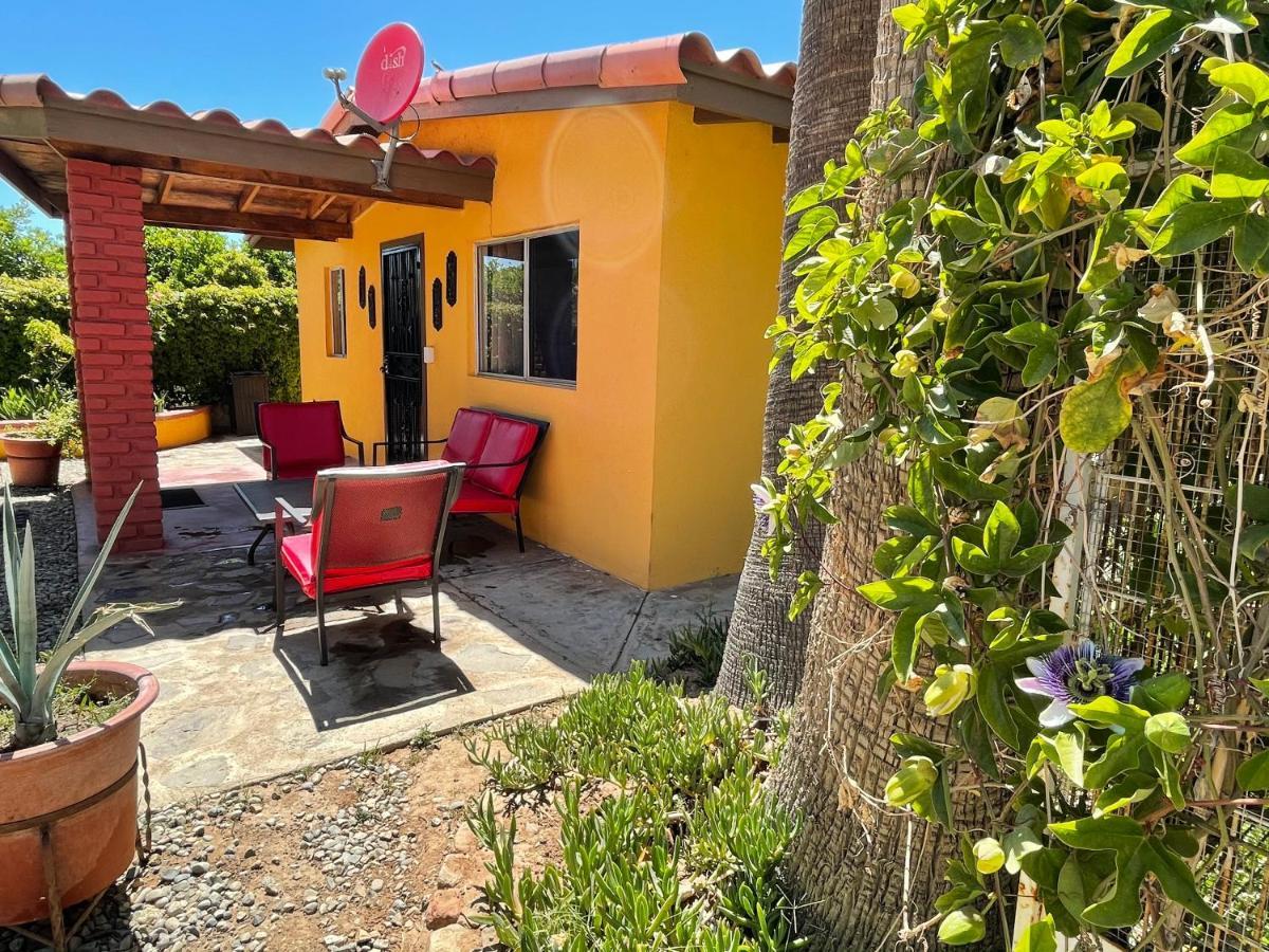 Rancho El Campanario En La Ruta Del Vino Hostel Вале де Гуадалупе Екстериор снимка