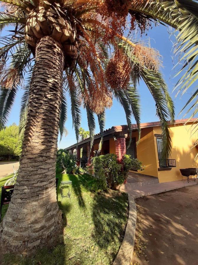 Rancho El Campanario En La Ruta Del Vino Hostel Вале де Гуадалупе Екстериор снимка