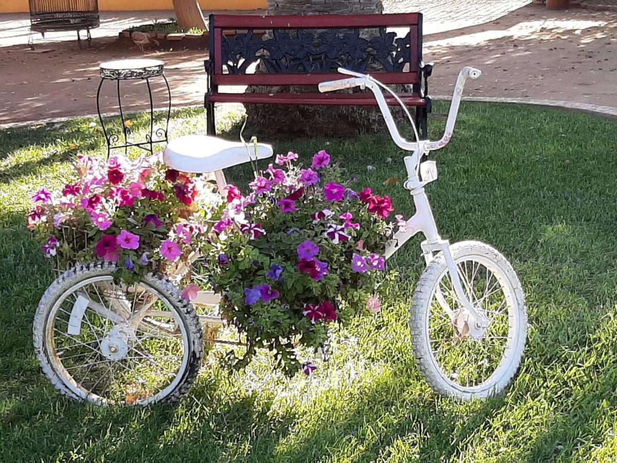 Rancho El Campanario En La Ruta Del Vino Hostel Вале де Гуадалупе Екстериор снимка