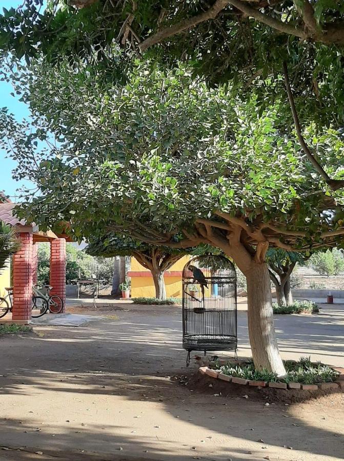 Rancho El Campanario En La Ruta Del Vino Hostel Вале де Гуадалупе Екстериор снимка