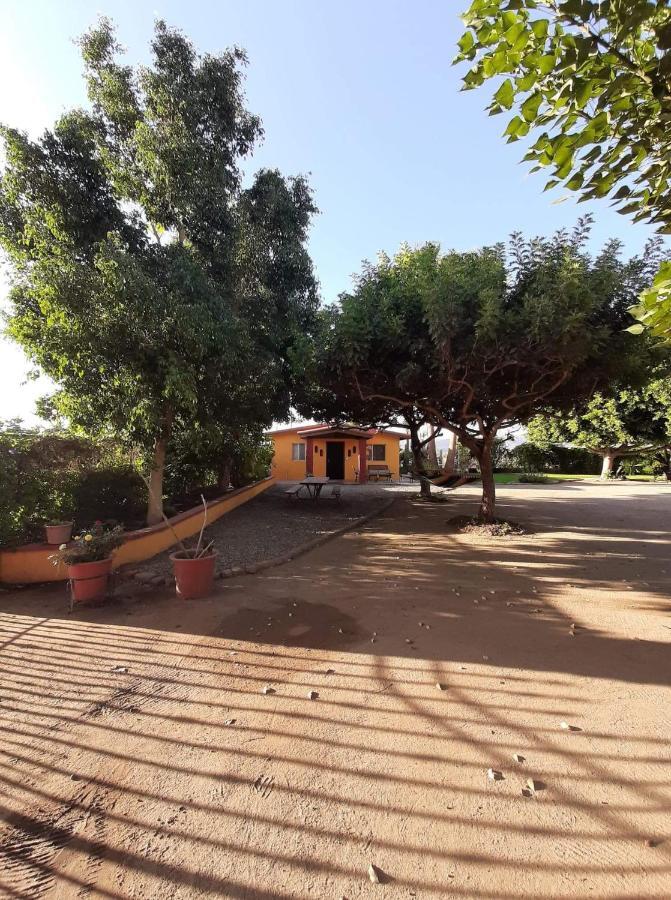 Rancho El Campanario En La Ruta Del Vino Hostel Вале де Гуадалупе Екстериор снимка