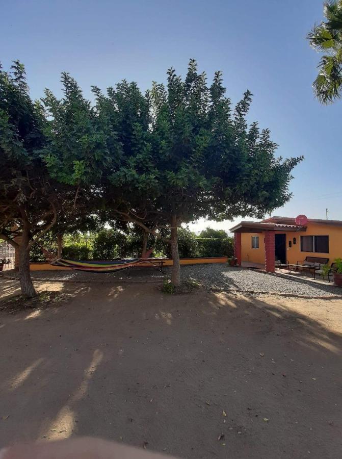 Rancho El Campanario En La Ruta Del Vino Hostel Вале де Гуадалупе Екстериор снимка